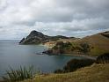 New_Zealand (1093)
